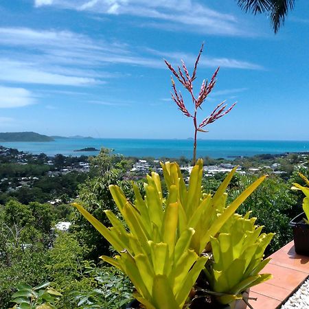 Yachtsmans Paradise, Whitsundays Hotell Airlie Beach Exteriör bild