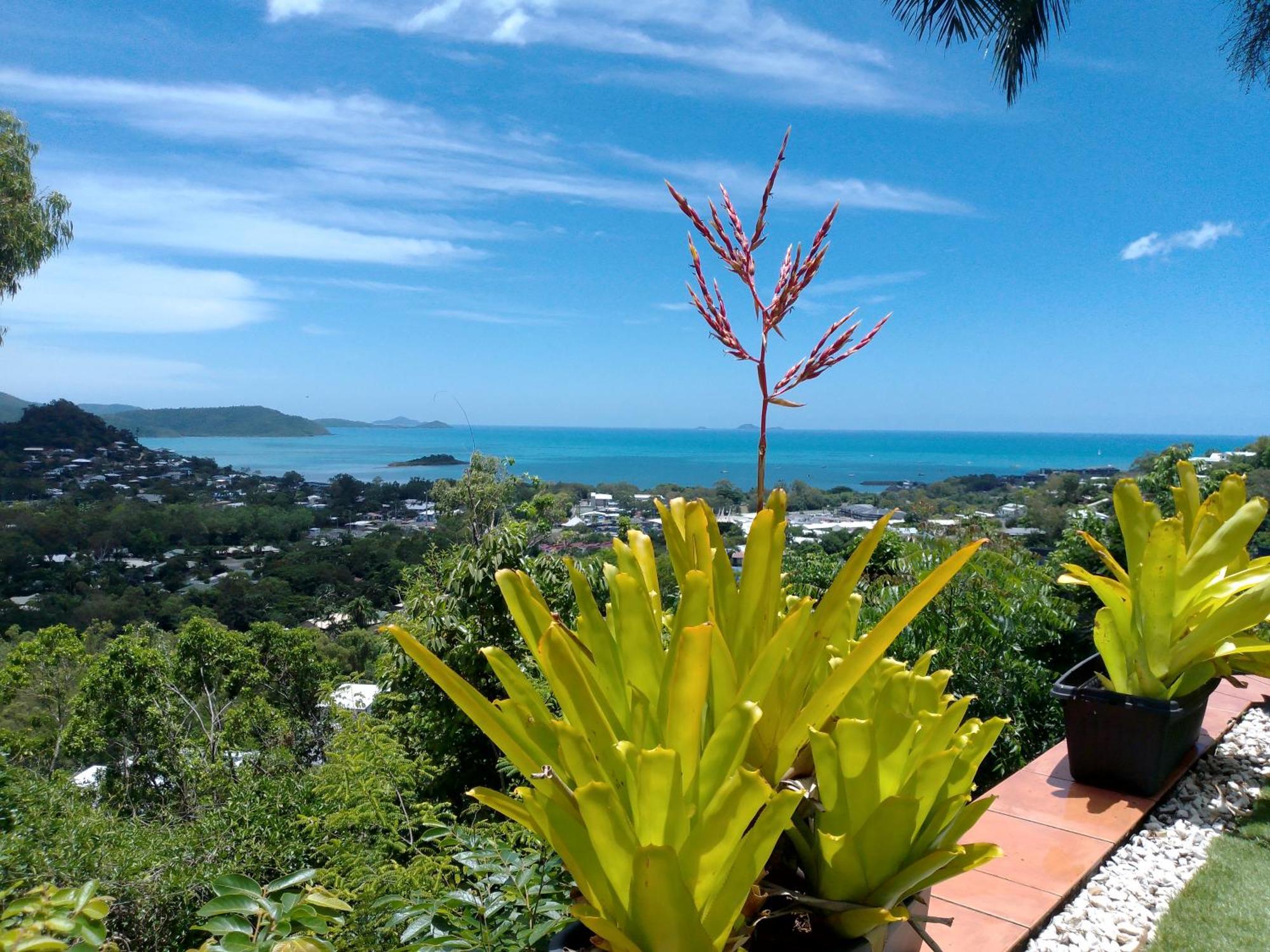 Yachtsmans Paradise, Whitsundays Hotell Airlie Beach Exteriör bild